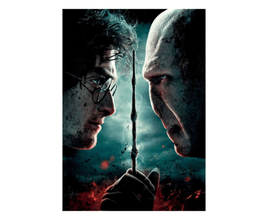 Quadro Harry Potter x Voldemort  Gangue Geek Sem Moldura