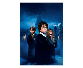 Quadro Harry Potter e a Pedra Filosofal Gangue Geek Sem Moldura